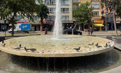 Eskişehir’deki havuzlar onlar için temizlendi!
