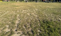 Millet bahçesinde çimler bakımsız kaldı