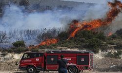 Foça'daki orman yangınıyla ilgili 1 tutuklama