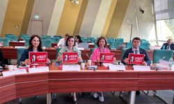 Ünlüce'den Strazburg'da İmamoğlu'na destek