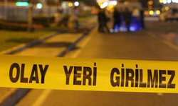 Otomobil çarpıp kaçtı: 1 ölü