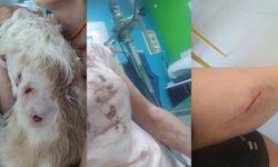 Bursa’da kangal dehşeti...