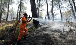 Hasat mevsiminde orman yangını alarmı