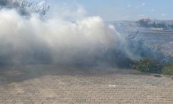 Alevlere teslim olan tonlarca odun küle döndü!