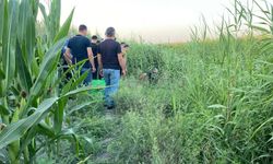 Yürek yakan olay: Sazlıklar arasında ölü bulundu!