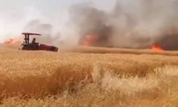 Buğday tarlası küle döndü!