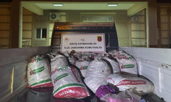 2 ton kaçak avlanmış balık ele geçirildi