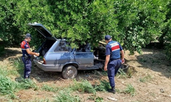 Yoldan çıkan otomobil ağaca çarptı