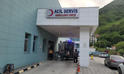 Akrebin soktuğu kadın hastanelik oldu