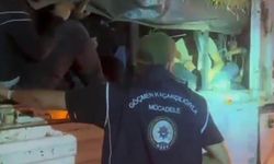 Saman balyalarının altına saklanan göçmenler yakalandı!
