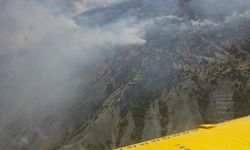 Ormanlık alanda korkutan yangın!