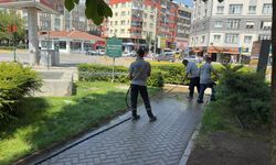 Büyükşehir Belediyesi parkları temizliyor