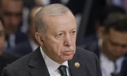 Cumhurbaşkanı Erdoğan'dan Eskişehir'deki orman yangınına ilişkin açıklama