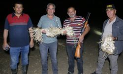 Çiftçilerin "beyaz altın" nöbeti