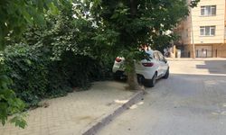 Eskişehir’de kaldırım işgali vatandaşı çileden çıkarıyor