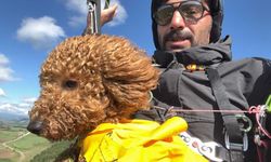 Eskişehir'de Toby isimli köpek paraşütle atlayıp 330 metrede uçuş deneyimi yaşadı