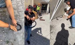 Eve giren yılanı yakalamak isterken parmağını kaptırdı