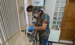 Yavru kedi ölümden döndü: Veteriner hekimden önemli uyarı!