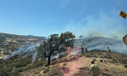 Çanakkale'de makilik alanda yangın