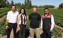 Eskişehir topraklarında dönüşüm başladı
