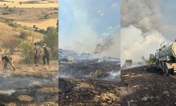 2 bin dekarlık alanı saran yangın kontrol altına alındı