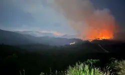 Yayladağı'ndaki yangınlara müdahale sürüyor: 734 personel, 7 uçak, 14 helikopter, 215 araç