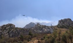 Hatay'da orman yangını