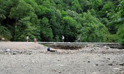 Korkutan manzara: Doğaseverlerin gözdesi kurudu