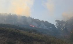 Bursa'da orman yangını