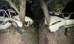 Sinop'ta virajı alamayan otomobil ağaca çarptı: 2 yaralı
