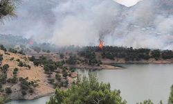 Adıyaman’da ormanlık alanda yangın