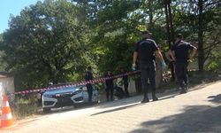 Miras kavgası kanlı bitti: Ağabey kardeşini öldürdü