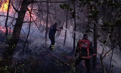 Sakarya’da ateş savaşçılarının zorlu 4 günü