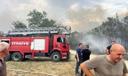 Kosova'da orman yangını: Mehmetçik yangına müdahale etti