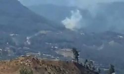 Muğla'da orman yangını