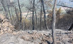 Karabük'teki orman yangınında 120. saate giriliyor