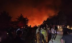 Karabük’te orman yangını büyüyor, iki mahalle tahliye edildi