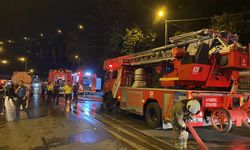 İstanbul’da ağaçlık alanda çıkan yangın söndürüldü