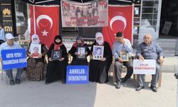 Ailelerden ortak mesaj: "Terör bitsin, evlatlarımız geri dönsün"
