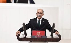 CHP’li Arslan’dan torba yasaya tepki: “Zeytinlikleri sermayeye peşkeş çekme yasasıdır!”