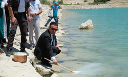 Sivrihisar'da muhteşem festival göle maya çalma ile başladı
