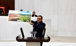 AK Parti Eskişehir Milletvekili Dönmez TBMM’de konuştu: "Zeytin de bizim, kömür de bizim"