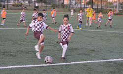 Altay güçlü geliyor