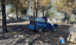 Ormanlık alanda çıkan yangın korkuttu
