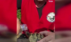 Yangın bölgesinde yürek ısıtan görüntü