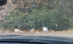 Eskişehir'in o şelalesinin yolları çöplerle doldu