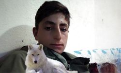 Muş’ta iş kazası: 20 yaşındaki genç hayatını kaybetti