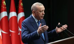 Cumhurbaşkanı Erdoğan'dan orman yangınları ile ilgili açıklama