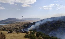 Adıyaman’da orman yangını: Alevler yerleşim yerine yaklaştı