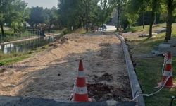 2Eylül Yazdı, Çalışmalar Başladı